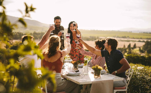 A group of people clinking wine at a dinner party