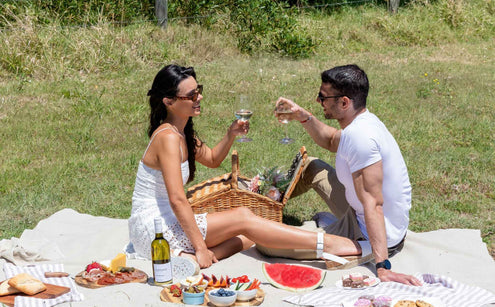 Couple clinking wine at a picnic