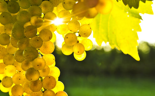 Green Grapes