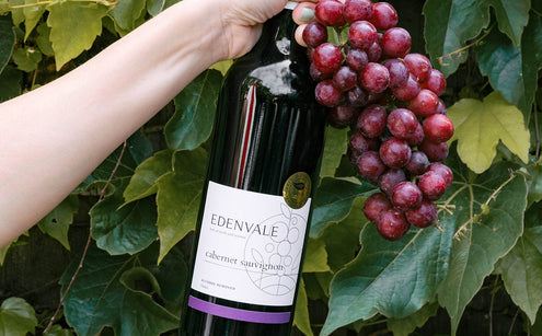 Everything You Want to Know About Alcohol-Free Red Wine